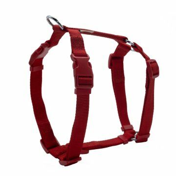 Doggie Ayarlı  Dokuma Göğüs Tasması Kırmızı 1,5X35-50Cm