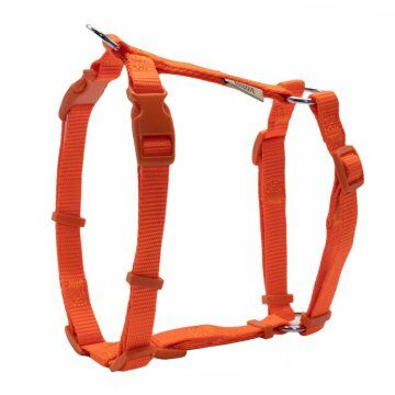 Doggie Ayarlı  Dokuma Göğüs Tasması Turuncu 2X50-65Cm