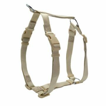 Doggie Ayarlı  Dokuma Göğüs Tasması Haki 2X55-70Cm