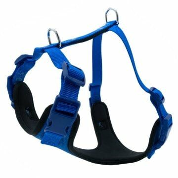 Doggie Havalı Dokuma Göğüs Tasması Royalmavi 2X45-55Cm
