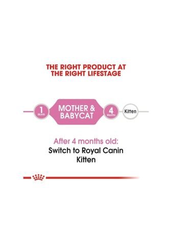 Royal Canin Mother & Baby Cat Yavru Kedi Maması 4 KG