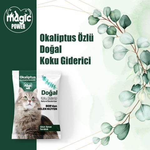 Lepus Magic Power Toz Koku Giderici Okaliptus Özlü